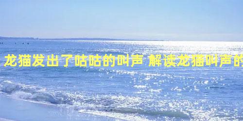 龙猫发出了咕咕的叫声 解读龙猫叫声的密语